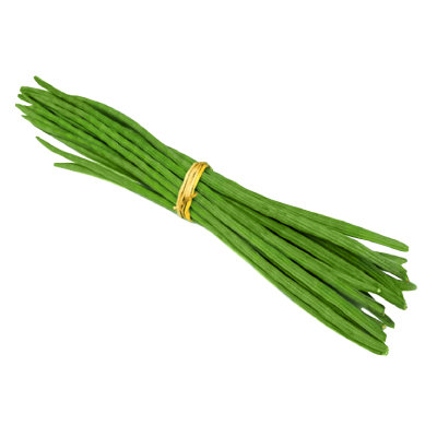 Drumstick